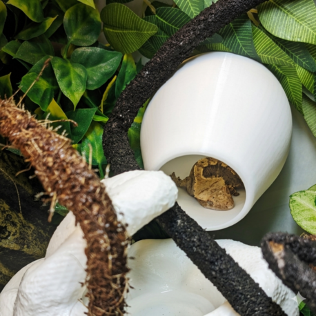 Crested Gecko Hide 