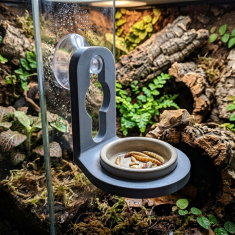 Gecko Feeding Station (Ledge + 3 Bowl Depths)