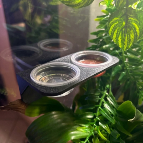 Reptile Feeding Ledge