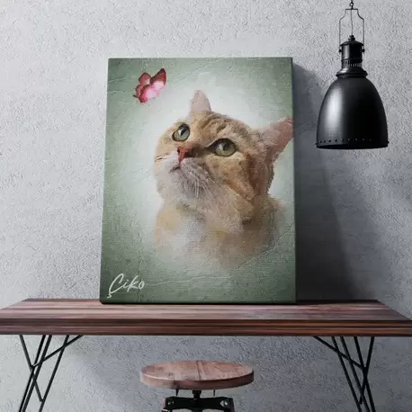 Kelebek