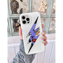 FLASH2 KILIF