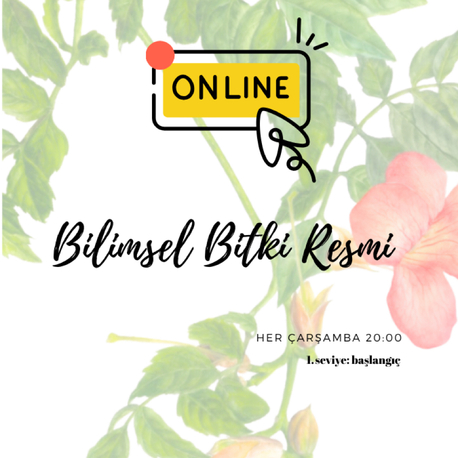 online bilimsel bitki resmi 4 ders