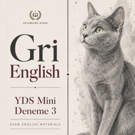 YDS Mini Deneme 3