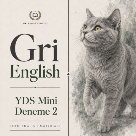 YDS Mini Deneme 2