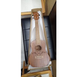 konsert ukuleke 