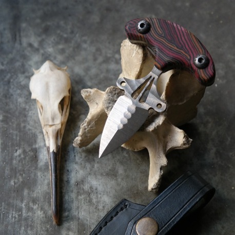 OWL DAGGER 4