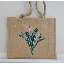 STRELITZIA 40X35