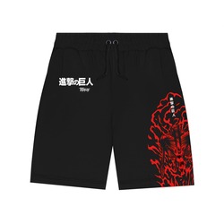 AOT SHORTS