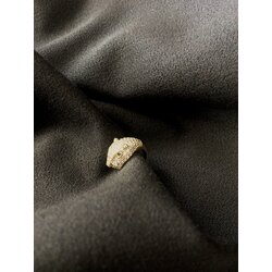 TİGER EARCUFF 