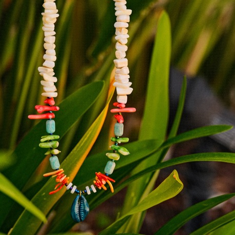 Coral Dream