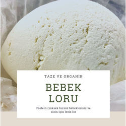 bebek loru