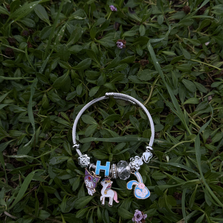 Çelik charm bileklik