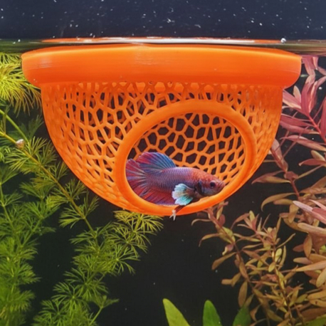 Betta Yatağı