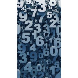 Numeroloji Semineri