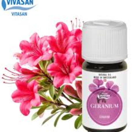 Vivasan Sardunya Uçucu Yağı (Geranium Oil) – 10 ml