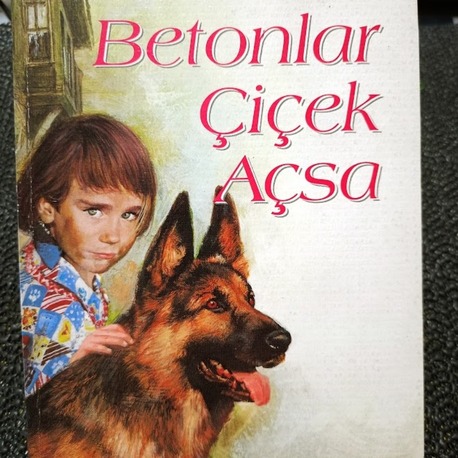 BETONLAR ÇİÇEK AÇSA - DİLARA AKINCI-  İMZALI..