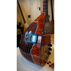 Profosyonel elektro bağlama uzun sap