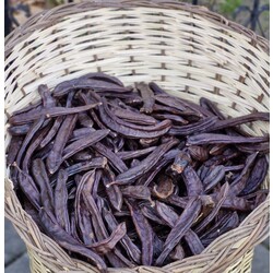 Keçiboynuzu 500 Gr