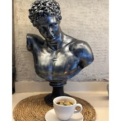 Hermes Büst