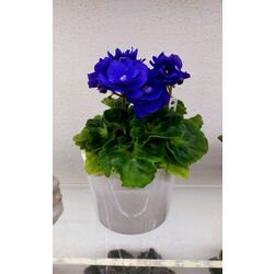 FİDE /ROCOCO BLUE/STANDART 