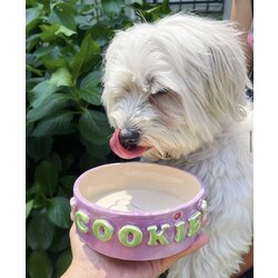 Köpek için Özel Tasarım 