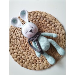 Sleeping Rabbit