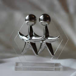 Silver Yıldız Küpe