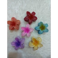 2'Li Lotus Toka