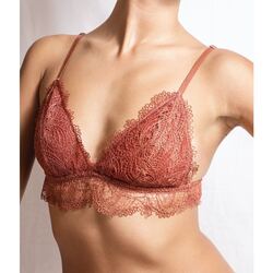 Moss Bra