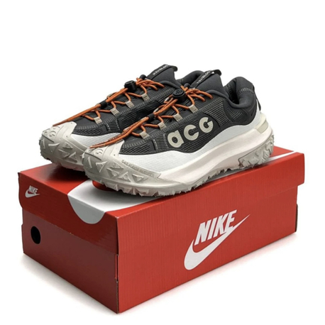Nike ACG Mountain Fly 2 Low