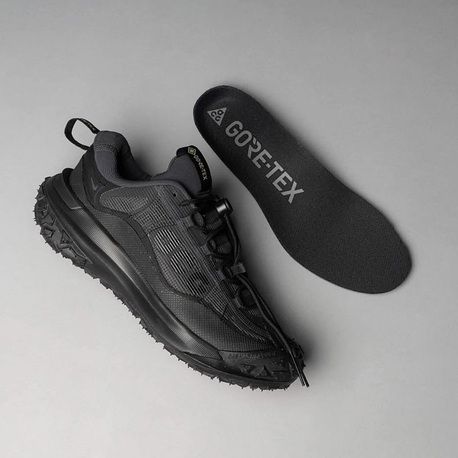 ACG Mountain Fly 2 Low GORE-TEX Black