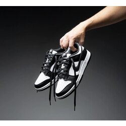 Nike Sb Dunk panda 
