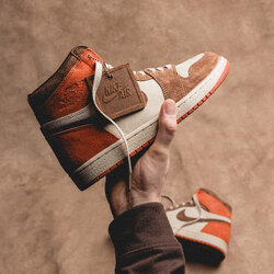 Nike Air Jordan 1 High 'Dusted Clay'