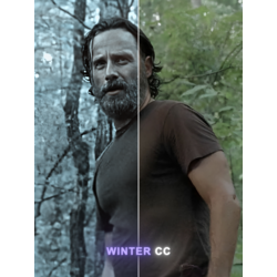 Winter CC