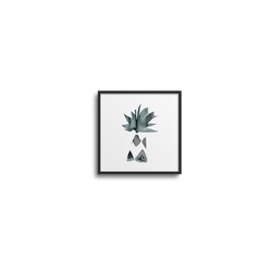 Pot II - Mini Art Serisi