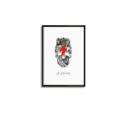 Skull Oddity