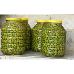 HATAY KIRMA YEŞİL ZEYTİN 3 Kg