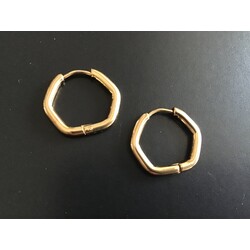 Çelik Gold Beşgen Küpe