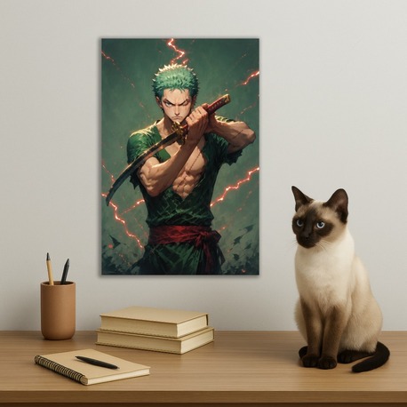One Piece Roronoa Zoro