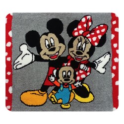Mickey mouse ailesi