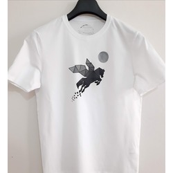 PEGASUS
