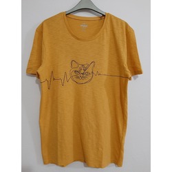 FEELING CATS