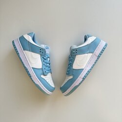 Nike Dunk Low Blue Clear 