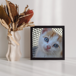 Mavi Gözlü Kedi, Yazdırılabilir Görsel 3
