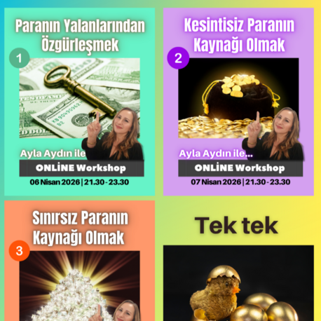 3 ü 1 arada (kısmi tekrar eden katılımcılar için açıklamayı okuyun)
