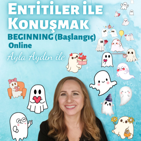 TTTE Entitiler ile Konuşmak Beginning