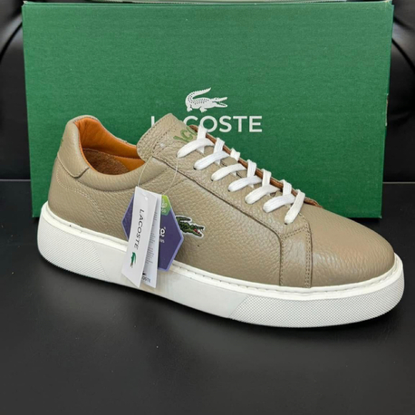 Lacoste Erkek Ayakkabı