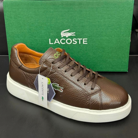 Lacoste Erkek Ayakkabı