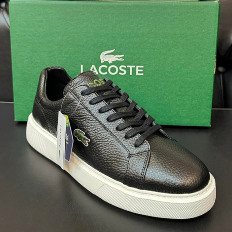 Lacoste Erkek Ayakkabı