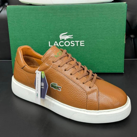 Lacoste Erkek Ayakkabı